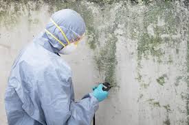 Mold Remediation for Rental Properties in Lockwood, MO